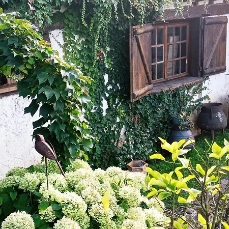 Chez Brigitte Pazayac